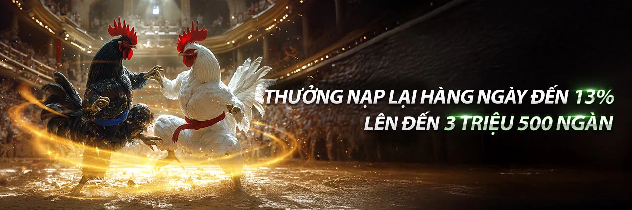 Đá gà nbet88 code trực tuyến với những trận đấu sôi động